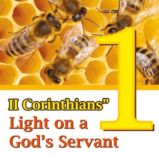 II Co' Light on a God's Serv 1 6.0 Icon