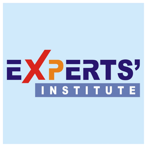 Experts Institute logo