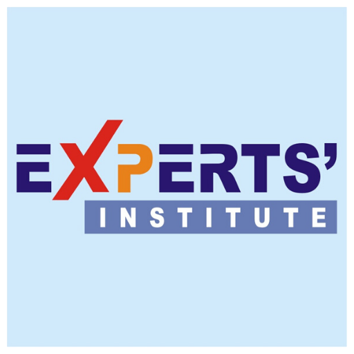 Experts' Institute  Icon