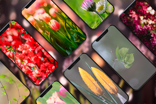 Android application Autumn Wallpapers - Background screenshort