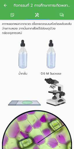 ความสัมพันธ์ระหว่างน้ำกับพืช Screen 3