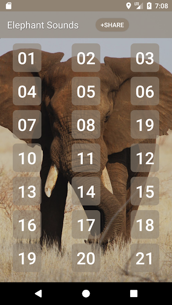 Captura 2 elefante Sonidos android