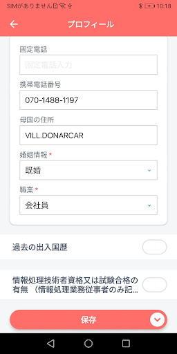 Visa Nippon Screen 3
