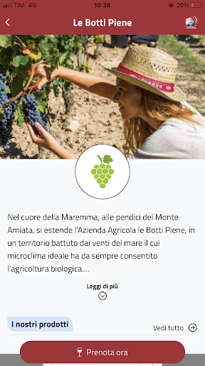 Taste Travelers Screen 2