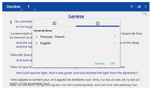 Saint-Martin : Bible App : Fre screenshot 4