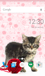screenshot of Pretty Cat Wallpaper