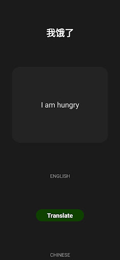 Translator Screen 3
