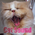 Cover Image of Baixar Suara Kucing Meow Lengkap  APK