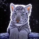 3D baby Tiger icon