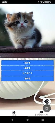 Android application ねっこクイズ screenshort