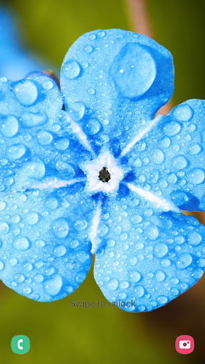 Flower Wallpaper & Nature HD Screen 2