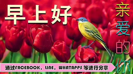 Chinese Good Morning to Night Screen 3