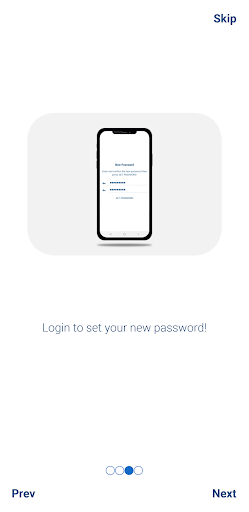 WS4 ACCESS Screen 3