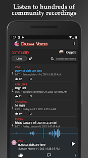 Dream Voices - Sleep recorder Screenshot