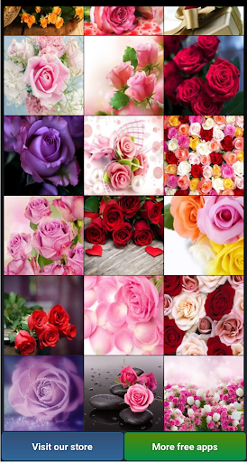 Beautiful Roses HD Wallpapers Screen 2