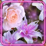 Cover Image of Descargar Roses and Lilies  APK