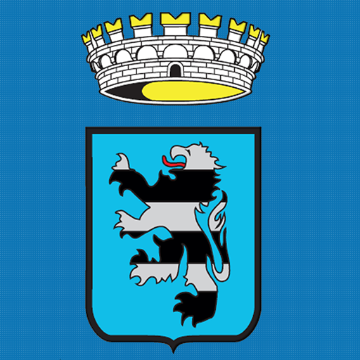 Comune di Lesmo logo