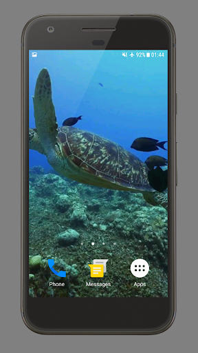 Sea Life Theme Video Wallpaper Screen 3
