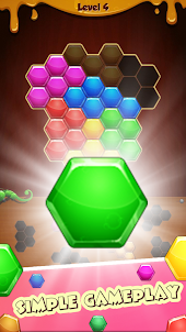 Hexa Puzzle Fun Block Match