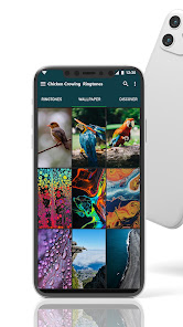 Captura 10 tonos llamada canto de pollo android