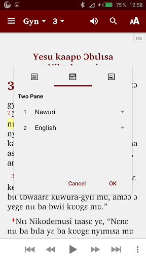 Nawuri New Testament Screen 3
