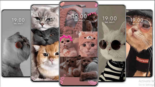 Cat Wallpaper 2024