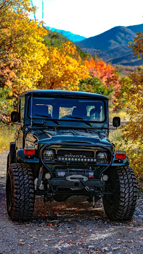 Toyota Land Cruiser Screen 2