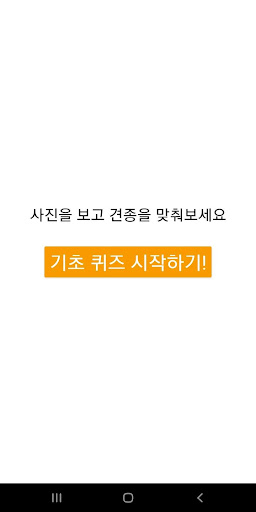 강아지 맞추기 퀴즈