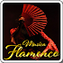 Flamenco music3.0.0