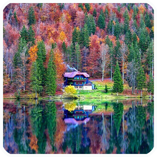 Download Jigsaw Puzzles Now 2.0 Apk for android