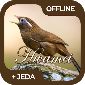 Screenshot 1 Masteran Burung Hwamei / Wambi Offline android