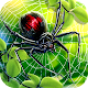 Spider Simulator - Virulent Hunter 3D