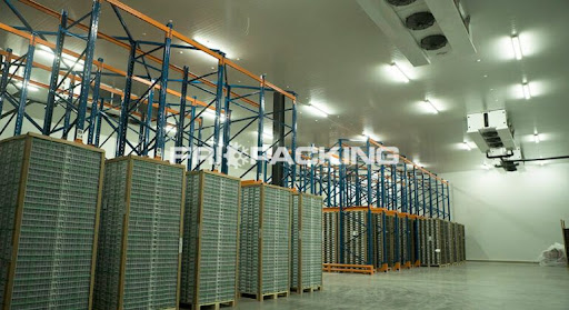 FrioMamut 2M Screen 2