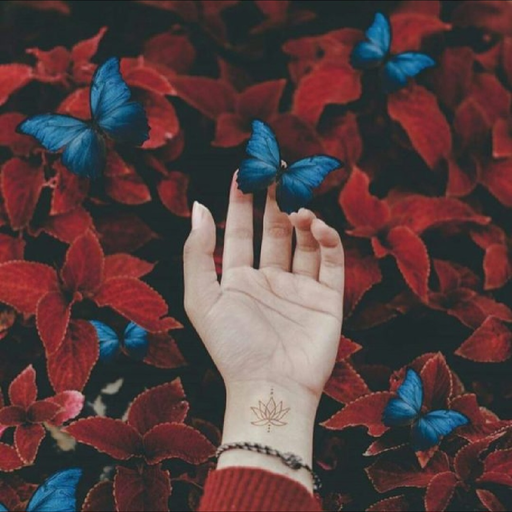 cool pozadine za telefon