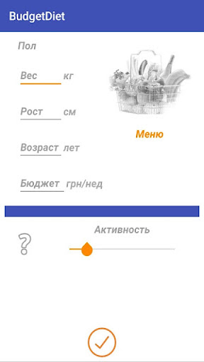 BudgetDiet Screen 2