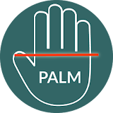 Palm Reader icon