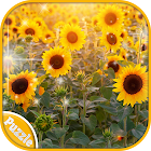 Flowers Jigsaw Puzzle Game 1.1