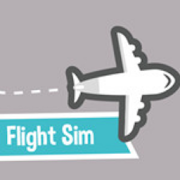 Flight Sim Airport, flight Aviation Management