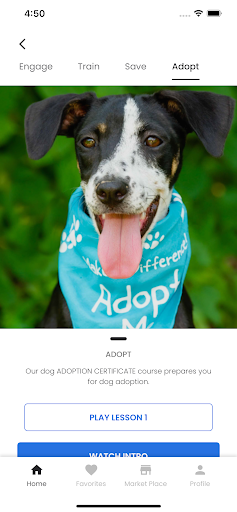 TEDDY: Positive Dog Training Screen 2