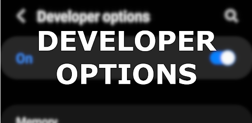 Developer Options