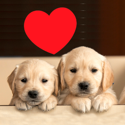 Cómo adoptar y cuidar un perro logo