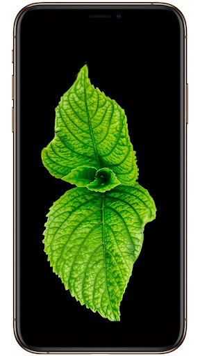 Theme for oneplus 7 pro Screen 3