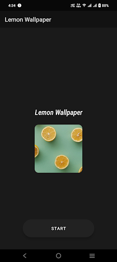 Lemon Wallpaper Screen 2