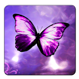 Shiny Butterfly Live Wallpaper icon
