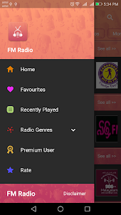 FM Radio - Live Indian Station