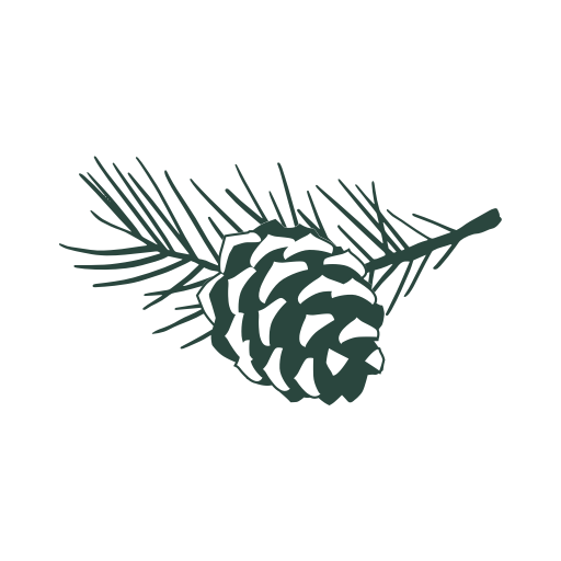 Washington Club CT logo