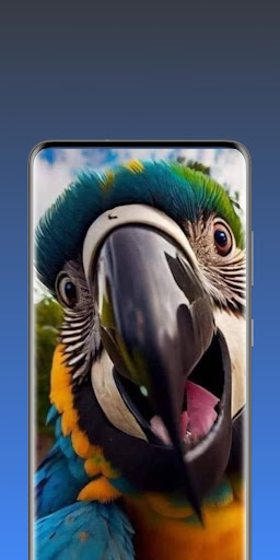 animals wallpaper Screen 3