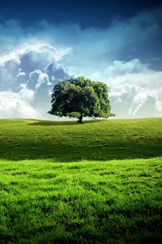 Android application F05w_Test_DF_04 screenshort