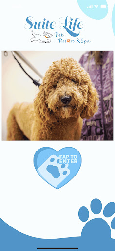 Android application Suite Life Pet Resort & Spa screenshort