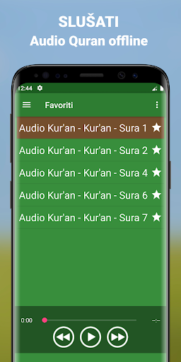 Quran Bosanski Audio mp3 app Screen 3